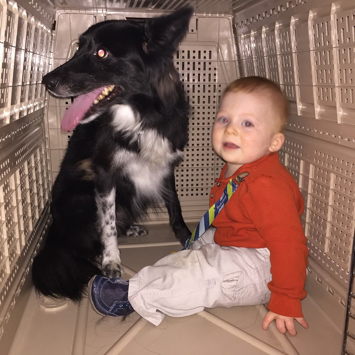fred in kennel with dog